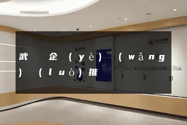 武義縣企業(yè)網(wǎng)絡(luò)推廣