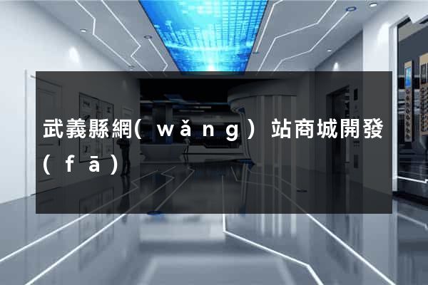 武義縣網(wǎng)站商城開發(fā)