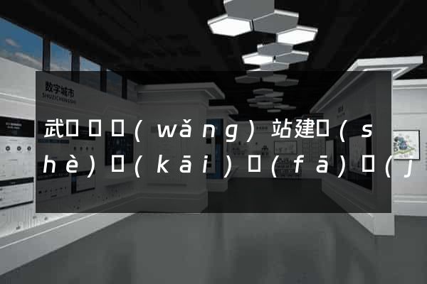 武義縣網(wǎng)站建設(shè)開(kāi)發(fā)價(jià)格