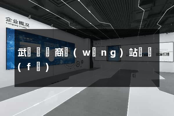 武義縣電商網(wǎng)站開發(fā)
