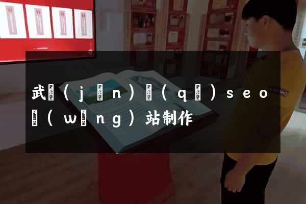 武進(jìn)區(qū)seo網(wǎng)站制作