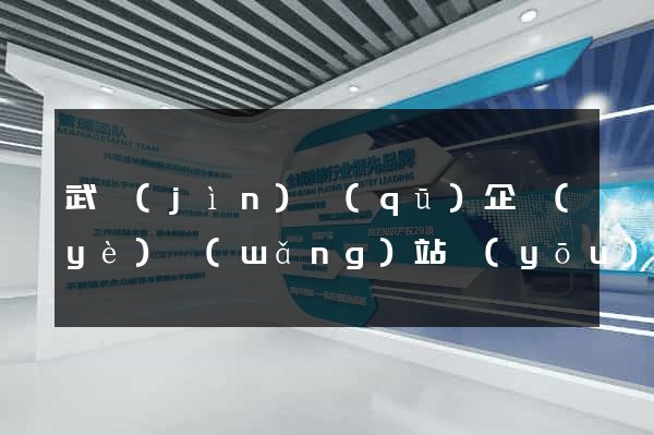 武進(jìn)區(qū)企業(yè)網(wǎng)站優(yōu)化