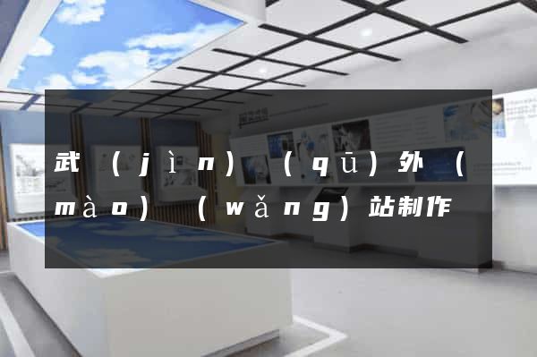 武進(jìn)區(qū)外貿(mào)網(wǎng)站制作