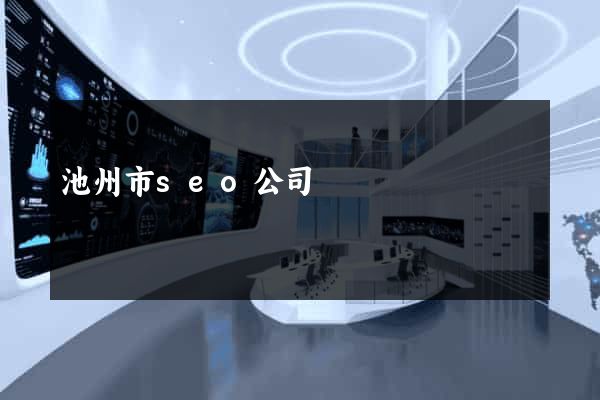 池州市seo公司