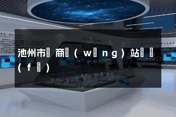 池州市電商網(wǎng)站開發(fā)