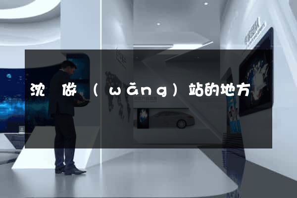 沈陽做網(wǎng)站的地方