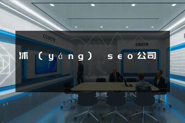 沭陽(yáng)縣seo公司