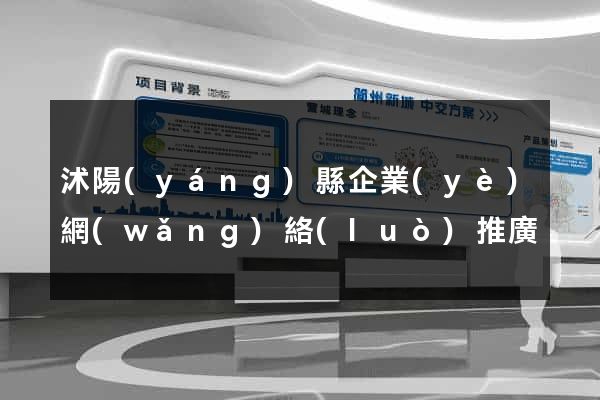 沭陽(yáng)縣企業(yè)網(wǎng)絡(luò)推廣
