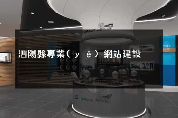 泗陽縣專業(yè)網站建設