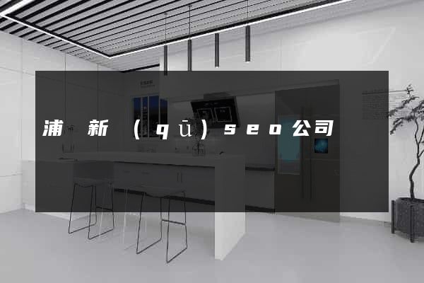 浦東新區(qū)seo公司