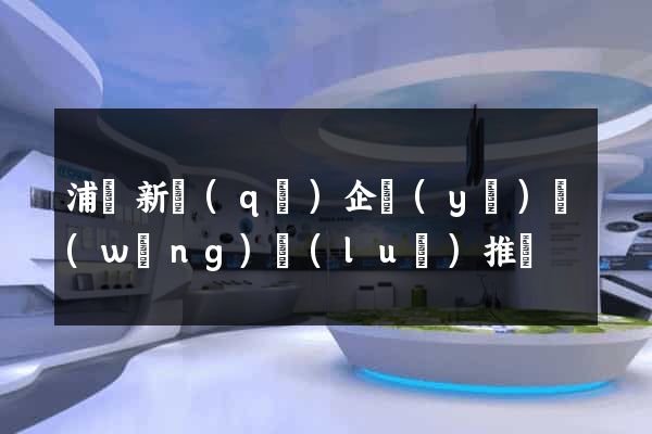 浦東新區(qū)企業(yè)網(wǎng)絡(luò)推廣
