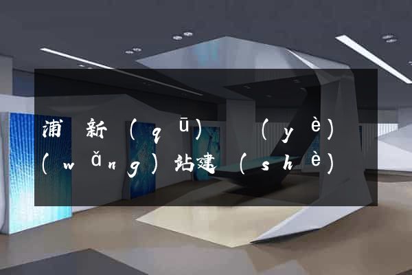 浦東新區(qū)專業(yè)網(wǎng)站建設(shè)