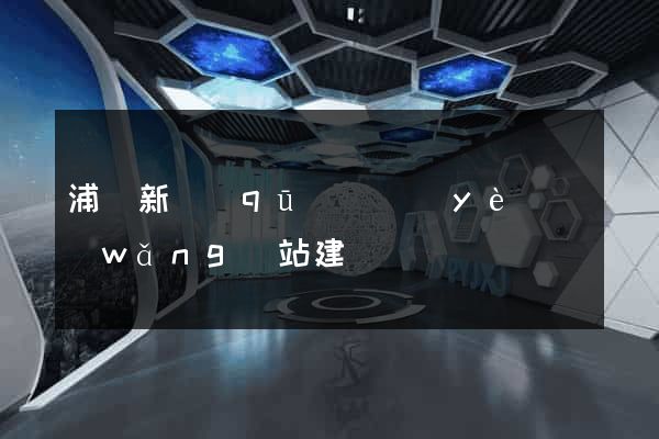 浦東新區(qū)專業(yè)網(wǎng)站建設