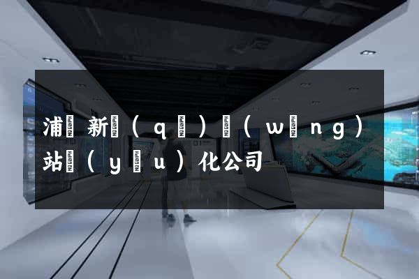 浦東新區(qū)網(wǎng)站優(yōu)化公司