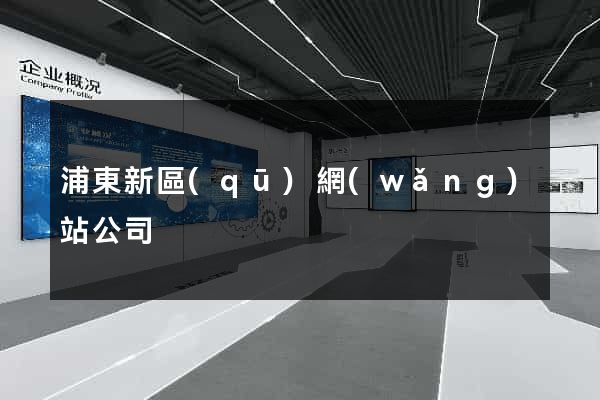 浦東新區(qū)網(wǎng)站公司