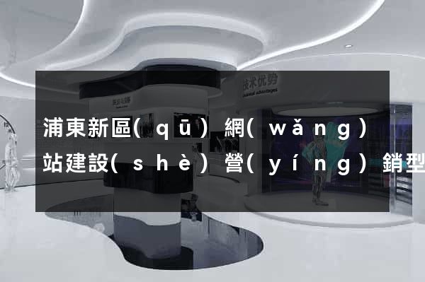 浦東新區(qū)網(wǎng)站建設(shè)營(yíng)銷型