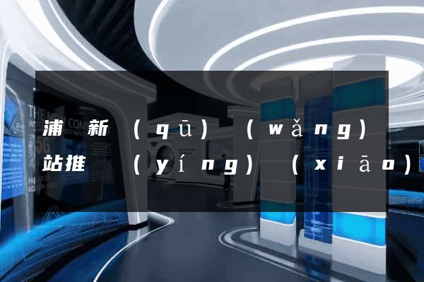 浦東新區(qū)網(wǎng)站推廣營(yíng)銷(xiāo)