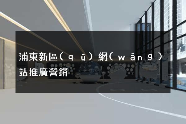 浦東新區(qū)網(wǎng)站推廣營銷