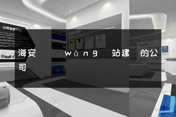 海安縣網(wǎng)站建設的公司