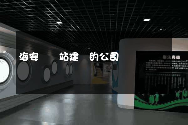 海安縣網站建設的公司