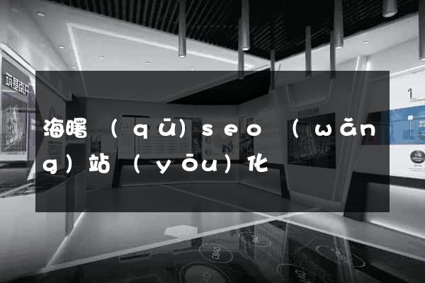 海曙區(qū)seo網(wǎng)站優(yōu)化