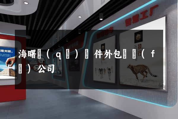 海曙區(qū)軟件外包開發(fā)公司