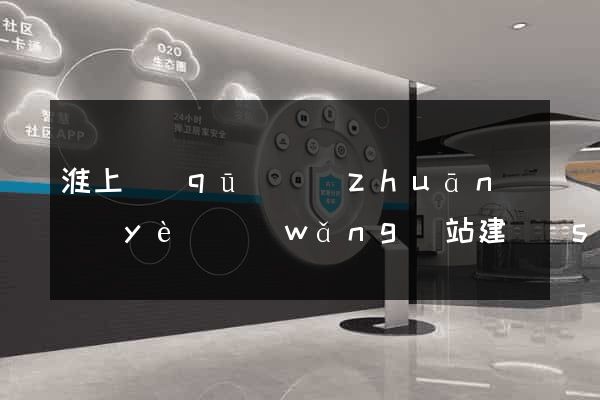 淮上區(qū)專(zhuān)業(yè)網(wǎng)站建設(shè)