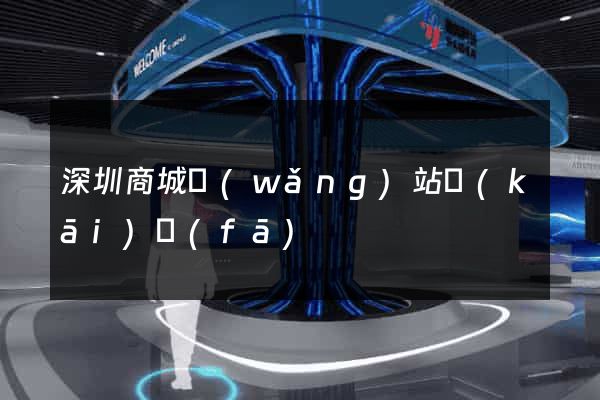 深圳商城網(wǎng)站開(kāi)發(fā)