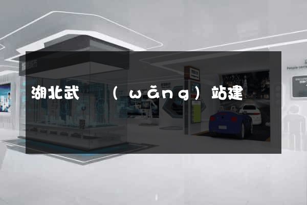 湖北武漢網(wǎng)站建設