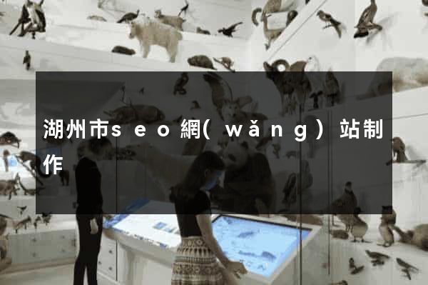 湖州市seo網(wǎng)站制作