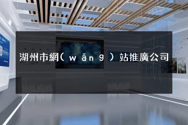 湖州市網(wǎng)站推廣公司