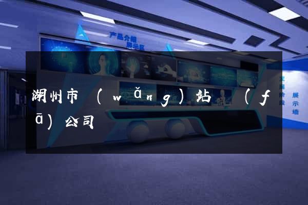 湖州市網(wǎng)站開發(fā)公司