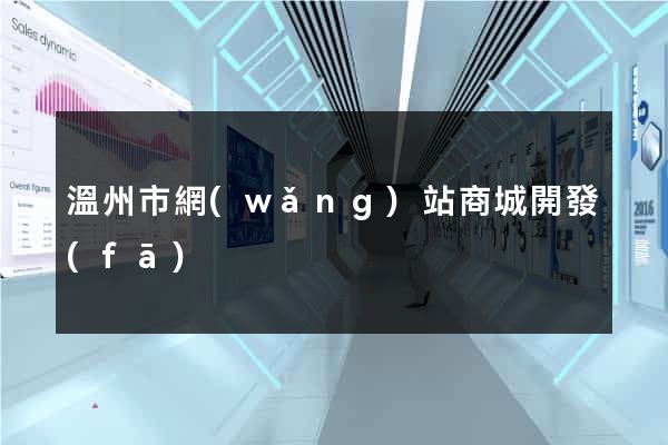 溫州市網(wǎng)站商城開發(fā)