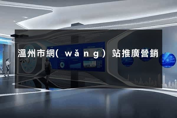 溫州市網(wǎng)站推廣營銷