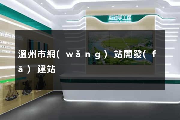 溫州市網(wǎng)站開發(fā)建站