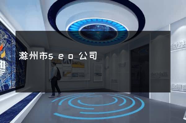 滁州市seo公司