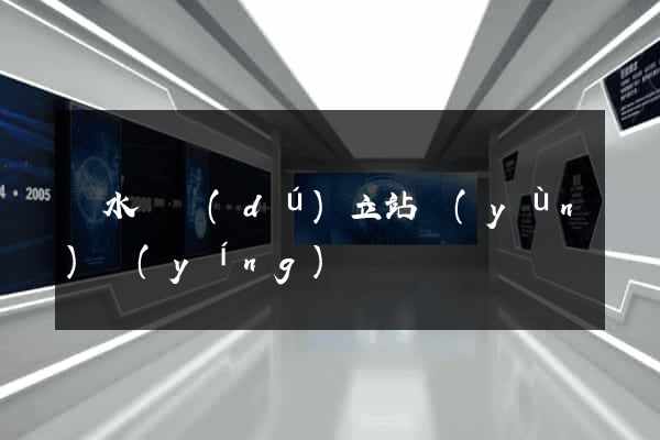 漣水縣獨(dú)立站運(yùn)營(yíng)