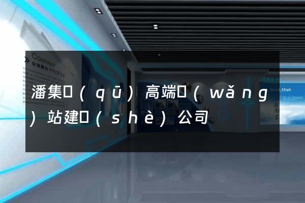 潘集區(qū)高端網(wǎng)站建設(shè)公司