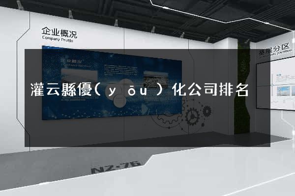 灌云縣優(yōu)化公司排名