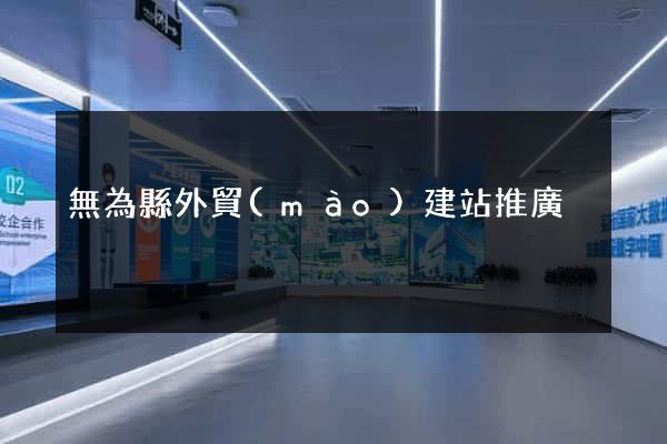 無為縣外貿(mào)建站推廣