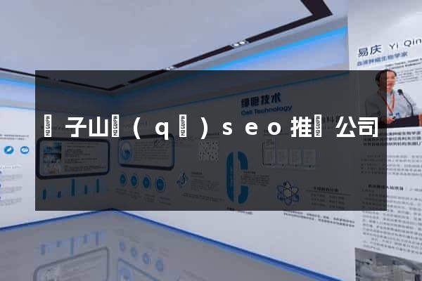 獅子山區(qū)seo推廣公司