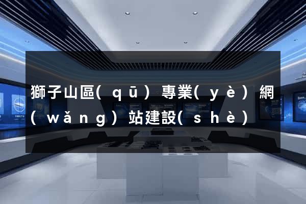 獅子山區(qū)專業(yè)網(wǎng)站建設(shè)