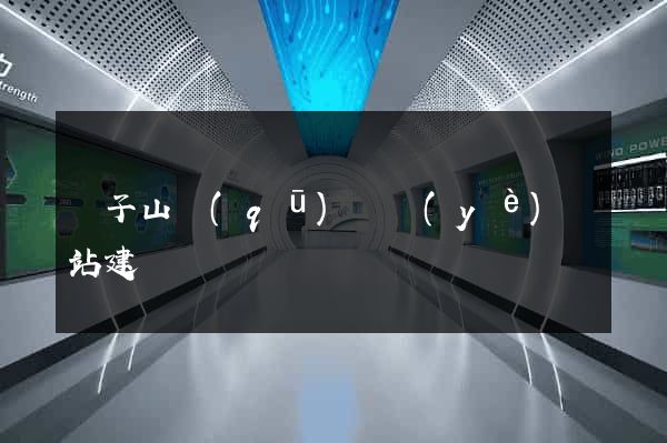 獅子山區(qū)專業(yè)網站建設