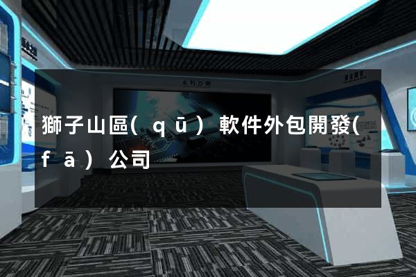 獅子山區(qū)軟件外包開發(fā)公司