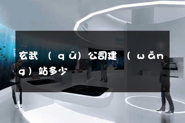 玄武區(qū)公司建網(wǎng)站多少錢