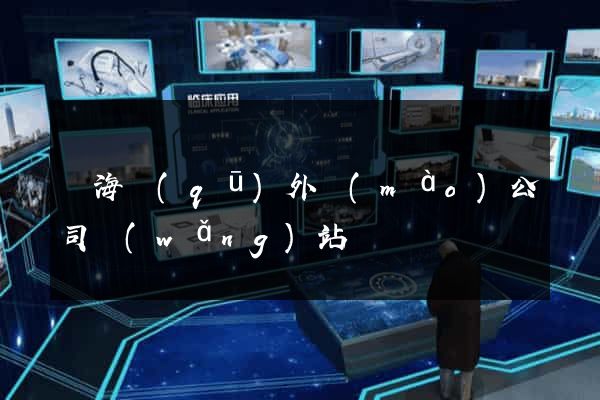 瑤海區(qū)外貿(mào)公司網(wǎng)站