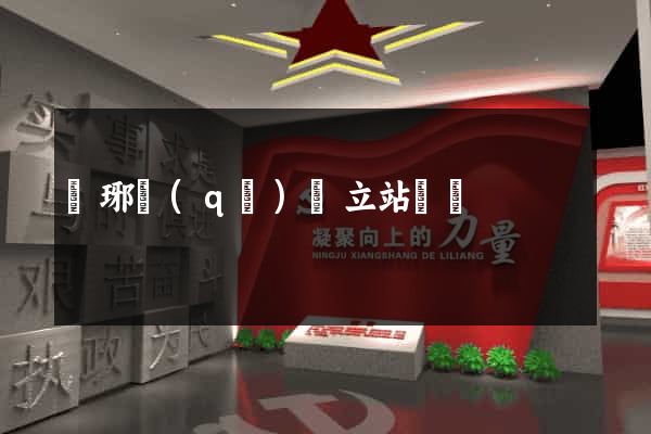 瑯琊區(qū)獨立站運營