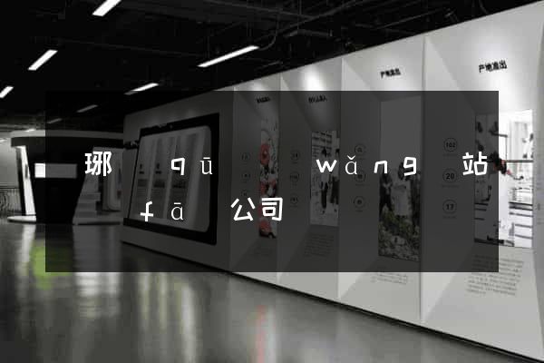 瑯琊區(qū)網(wǎng)站開發(fā)公司