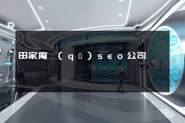 田家庵區(qū)seo公司