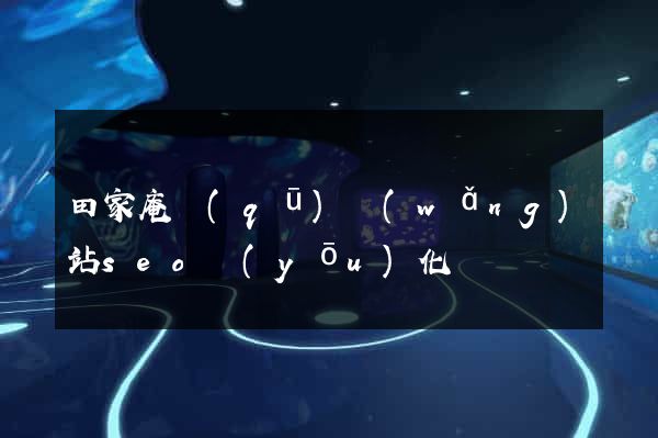 田家庵區(qū)網(wǎng)站seo優(yōu)化